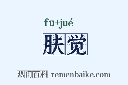 肤觉是什么意思的图片